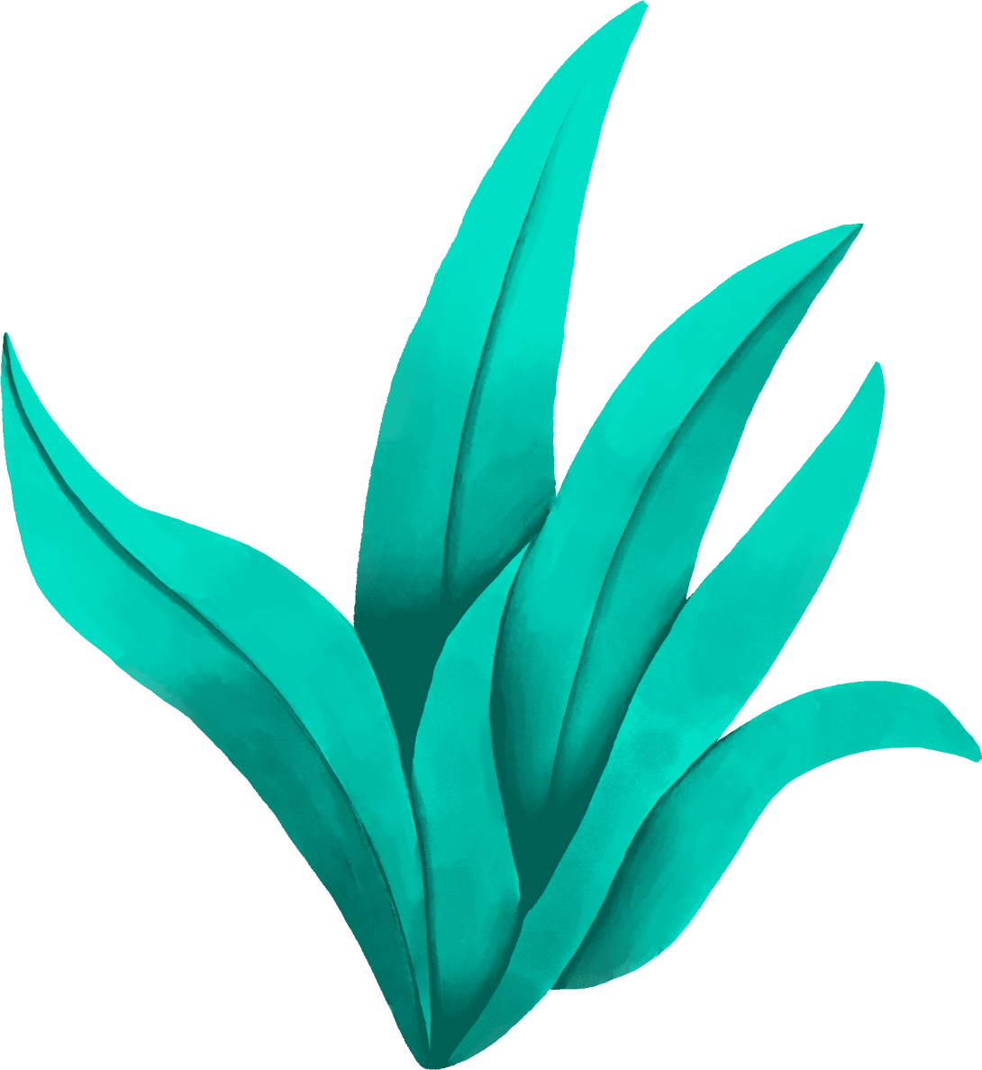 Grass illustration