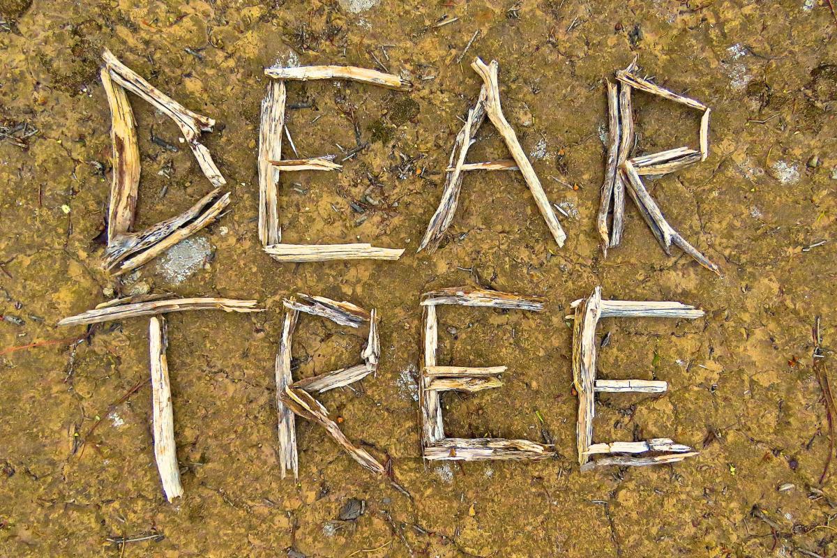 Dear Tree