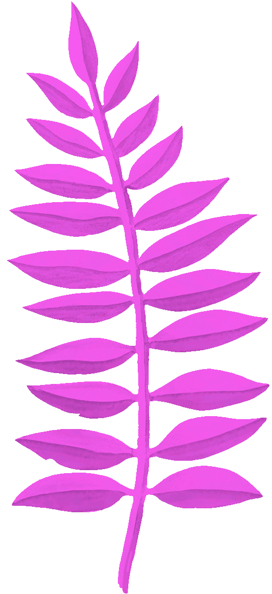 Illustration of a stylised purple fern leaf