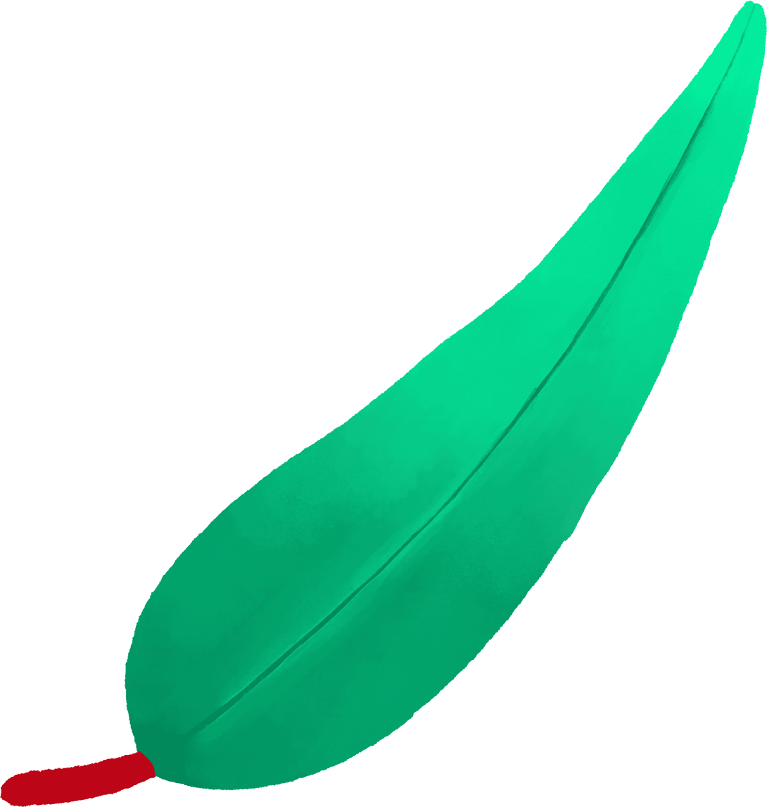 Green gum leaf illustration